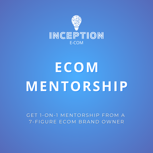 Ecom Mentorship